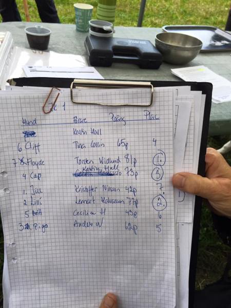 13903267_10153848085830678_2583109749256993754_n